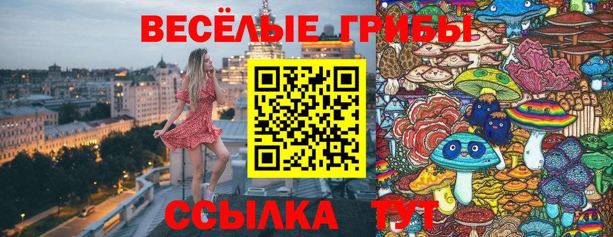 Псилоцибиновые грибы Cubensis Хабаровск