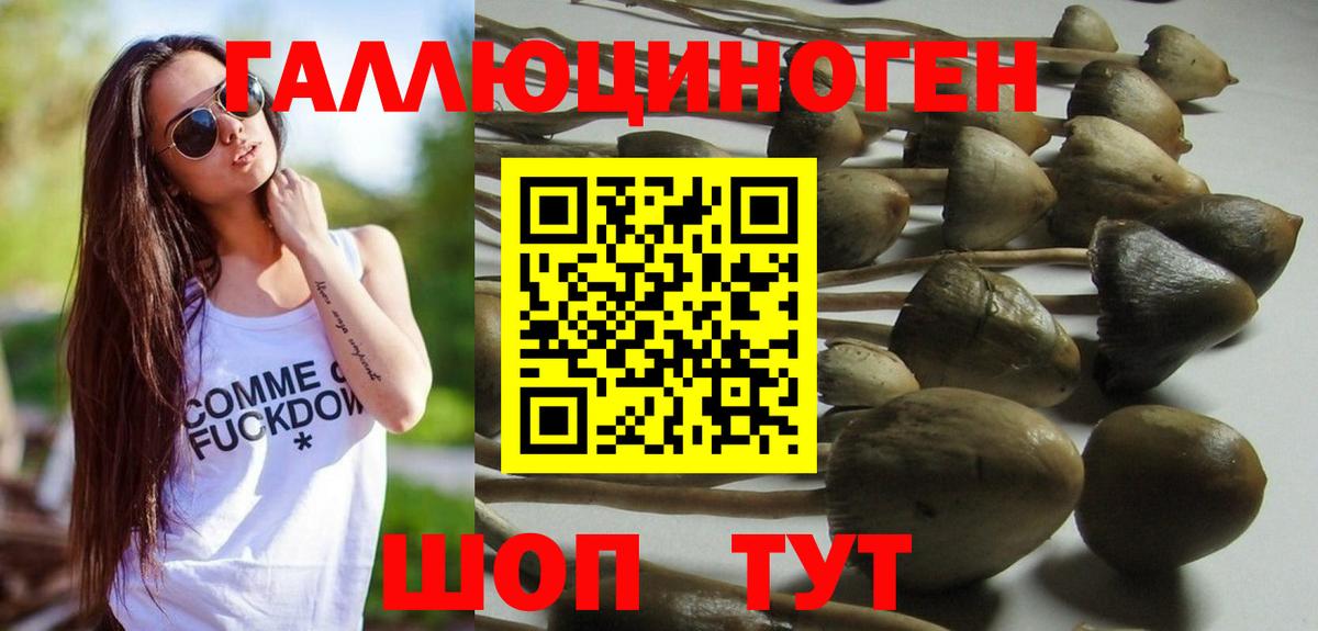 Галлюциногенные грибы MAGIC MUSHROOMS  Галлюциногенные грибы мицелий  Вход с VPN  Хабаровск 